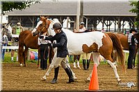 4H-FUN-060813-0066.jpg