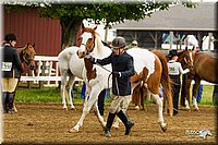 4H-FUN-060813-0067.jpg