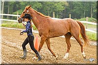 4H-FUN-060813-0069.jpg