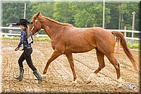 4H-FUN-060813-0070.jpg