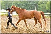 4H-FUN-060813-0071.jpg