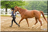 4H-FUN-060813-0072.jpg