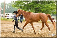 4H-FUN-060813-0073.jpg