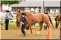4H-FUN-060813-0074.jpg