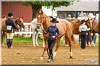 4H-FUN-060813-0075.jpg