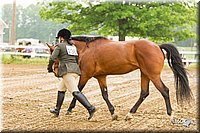 4H-FUN-060813-0079.jpg