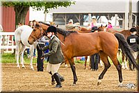 4H-FUN-060813-0080.jpg