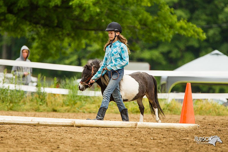 4H-FUN-060813-0892.jpg