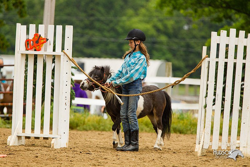 4H-FUN-060813-0894.jpg
