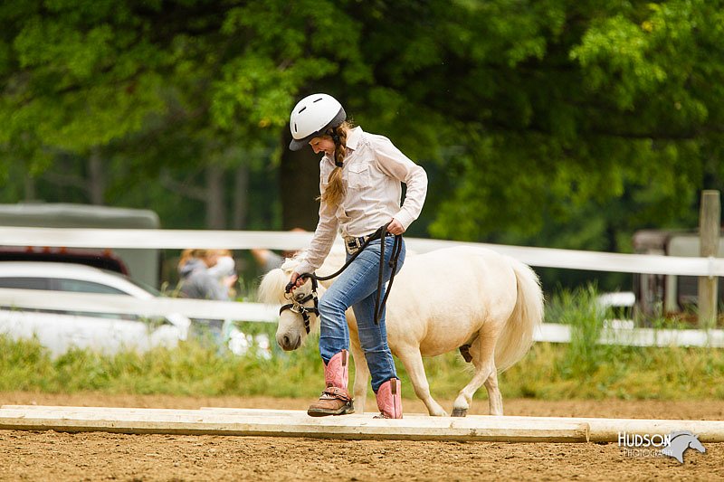 4H-FUN-060813-0898.jpg