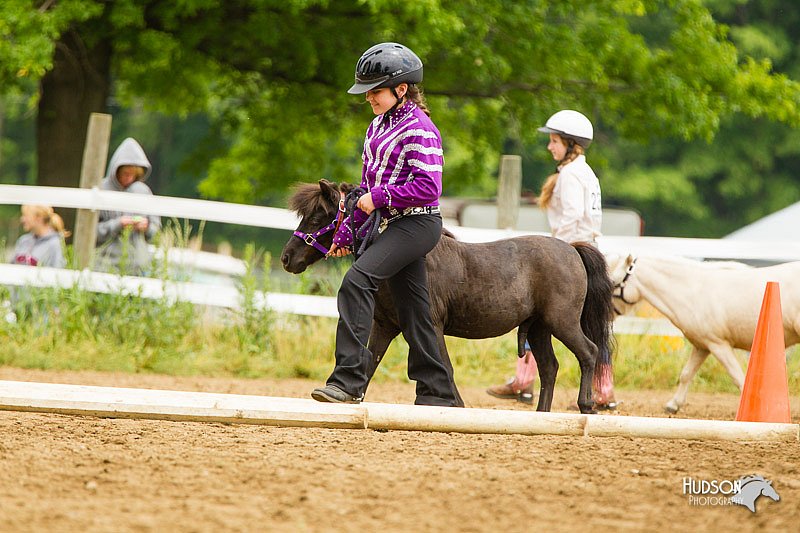 4H-FUN-060813-0905.jpg