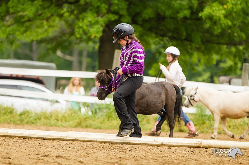 4H-FUN-060813-0906.jpg