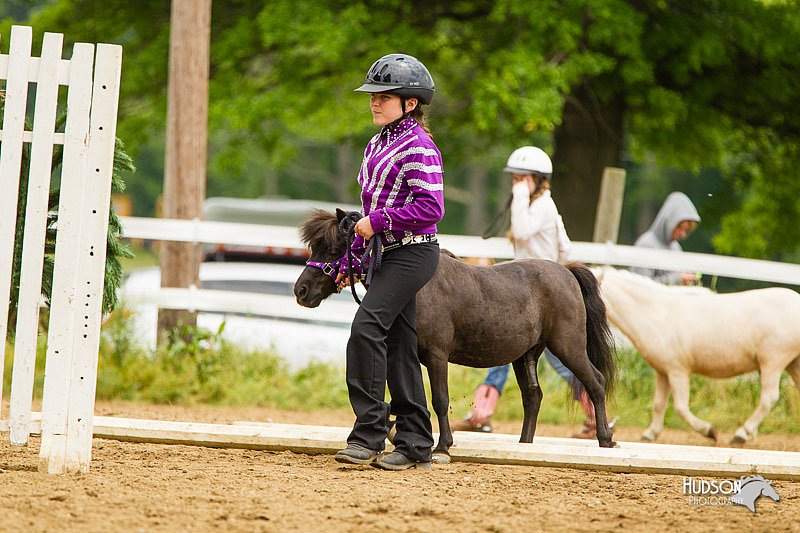 4H-FUN-060813-0907.jpg