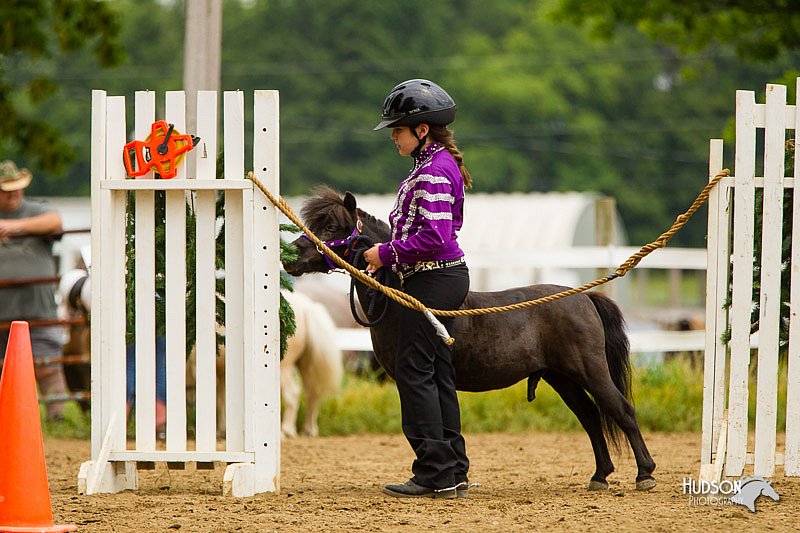 4H-FUN-060813-0908.jpg