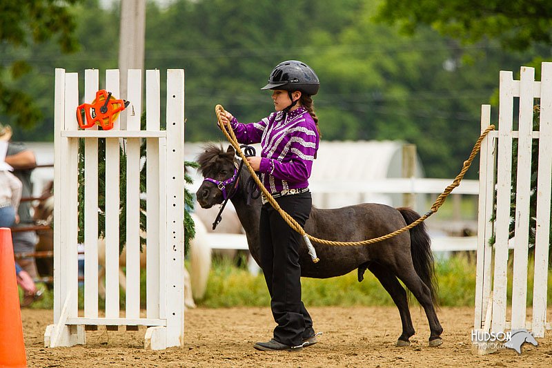 4H-FUN-060813-0909.jpg
