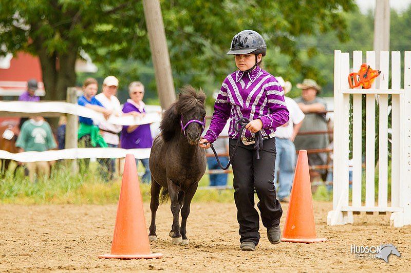 4H-FUN-060813-0912.jpg