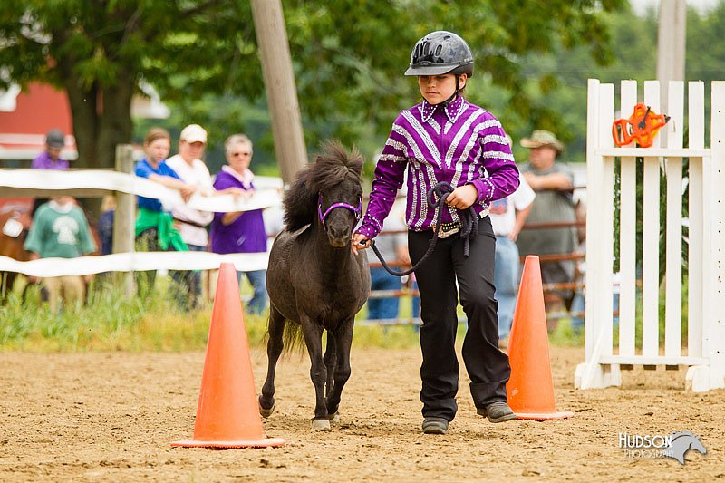 4H-FUN-060813-0913.jpg