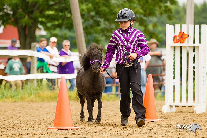 4H-FUN-060813-0914.jpg