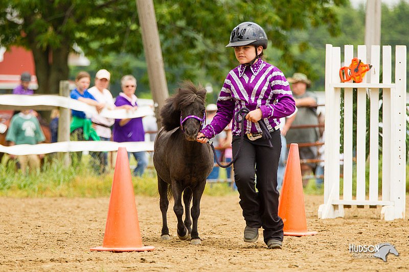 4H-FUN-060813-0915.jpg