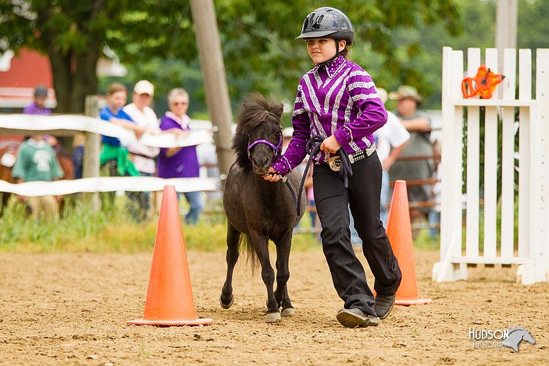 4H-FUN-060813-0917.jpg