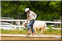 4H-FUN-060813-0898.jpg