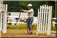 4H-FUN-060813-0900.jpg