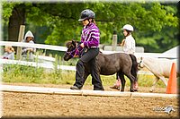 4H-FUN-060813-0905.jpg