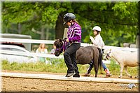 4H-FUN-060813-0906.jpg