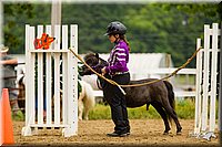 4H-FUN-060813-0908.jpg