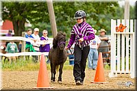 4H-FUN-060813-0910.jpg