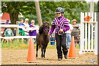 4H-FUN-060813-0912.jpg