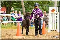 4H-FUN-060813-0913.jpg