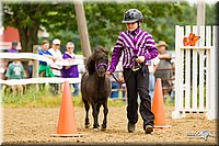 4H-FUN-060813-0914.jpg