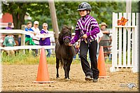 4H-FUN-060813-0916.jpg