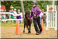 4H-FUN-060813-0917.jpg