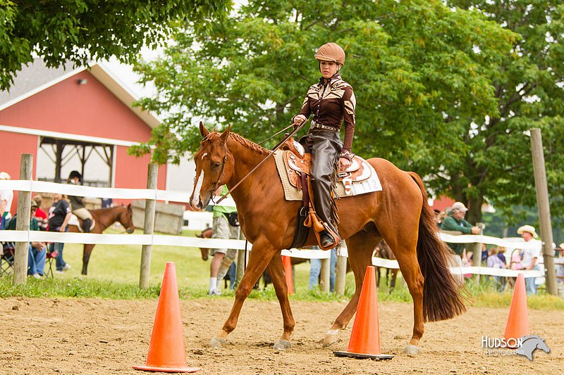 4H-FUN-060813-0929.jpg
