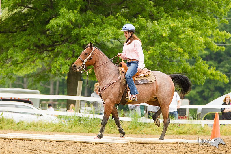 4H-FUN-060813-0930.jpg