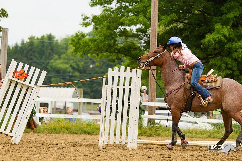 4H-FUN-060813-0932.jpg