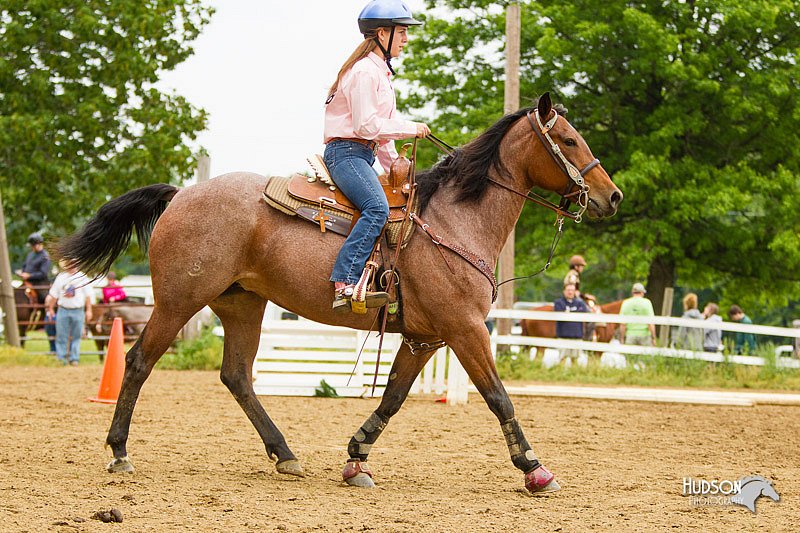 4H-FUN-060813-0936.jpg