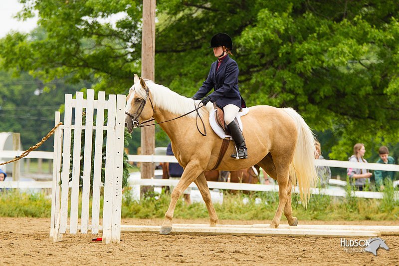 4H-FUN-060813-0937.jpg