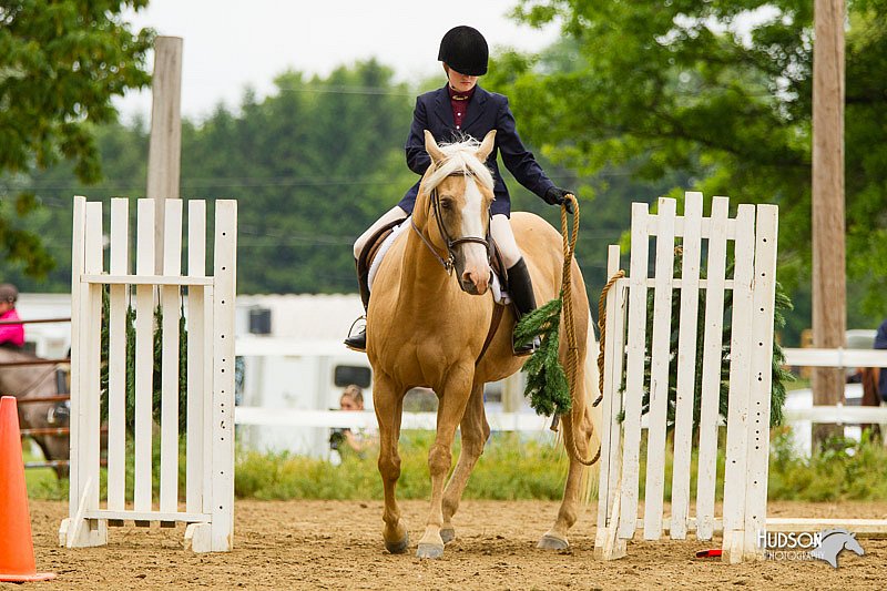 4H-FUN-060813-0940.jpg