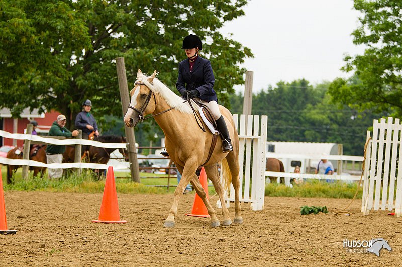 4H-FUN-060813-0942.jpg