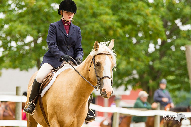 4H-FUN-060813-0944.jpg