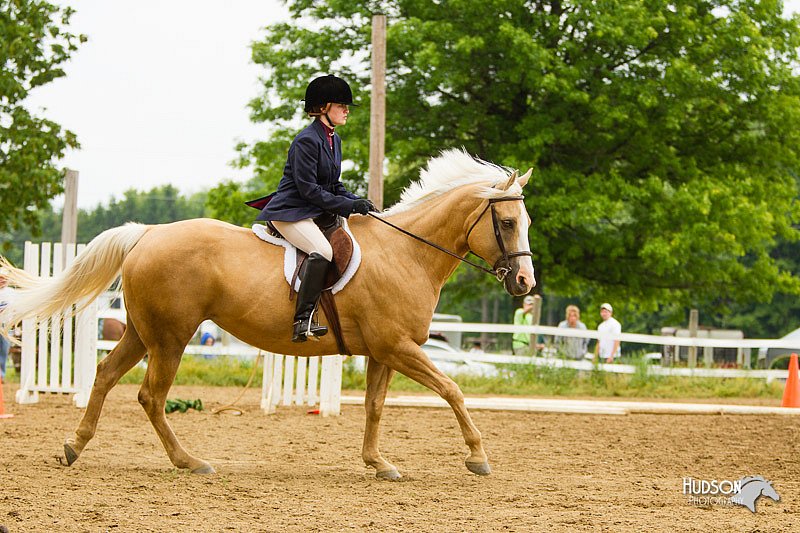 4H-FUN-060813-0945.jpg