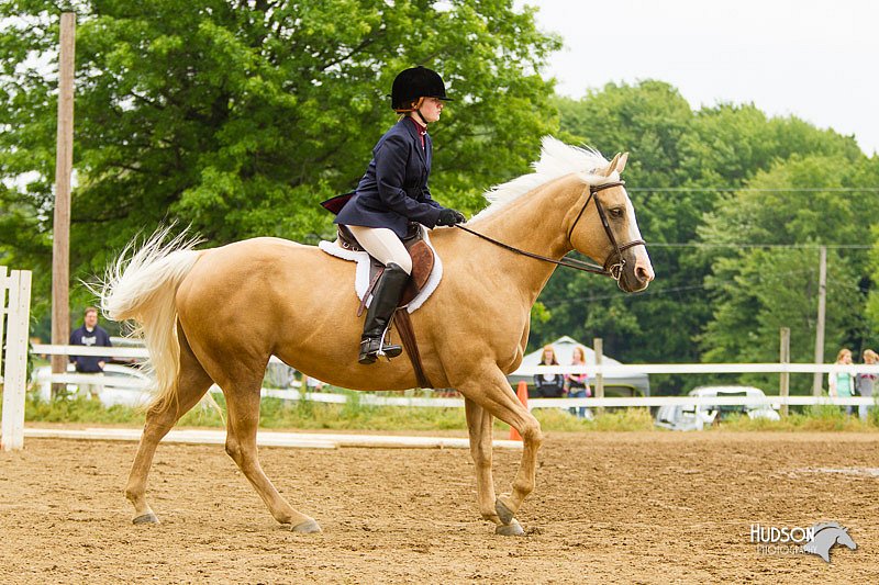 4H-FUN-060813-0946.jpg