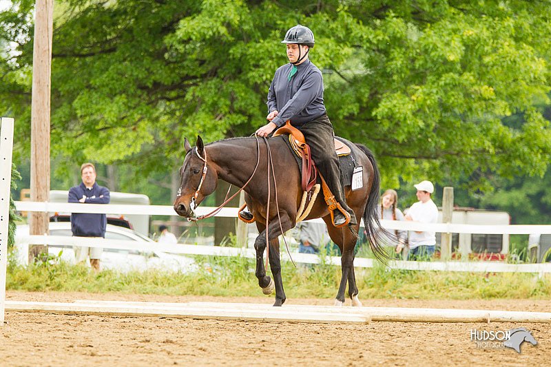 4H-FUN-060813-0949.jpg