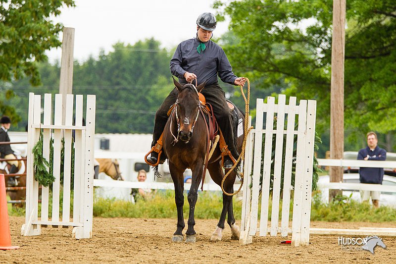 4H-FUN-060813-0952.jpg