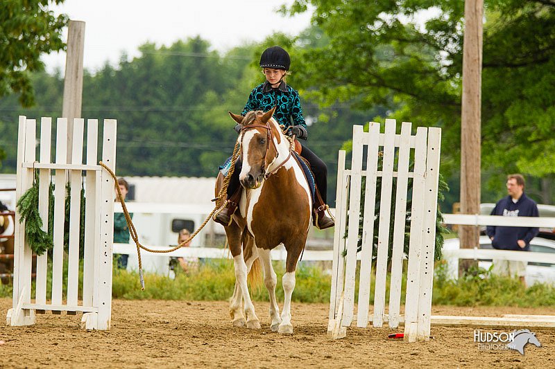 4H-FUN-060813-0962.jpg