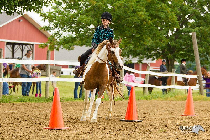 4H-FUN-060813-0965.jpg