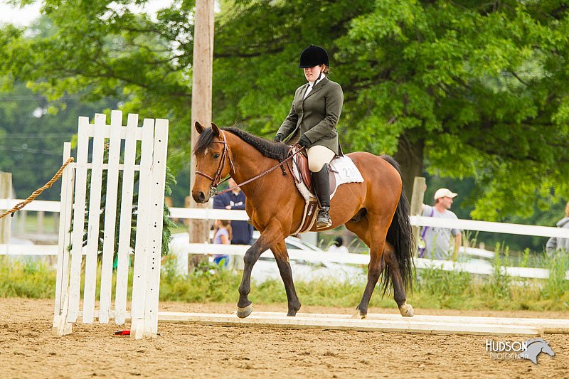 4H-FUN-060813-0969.jpg